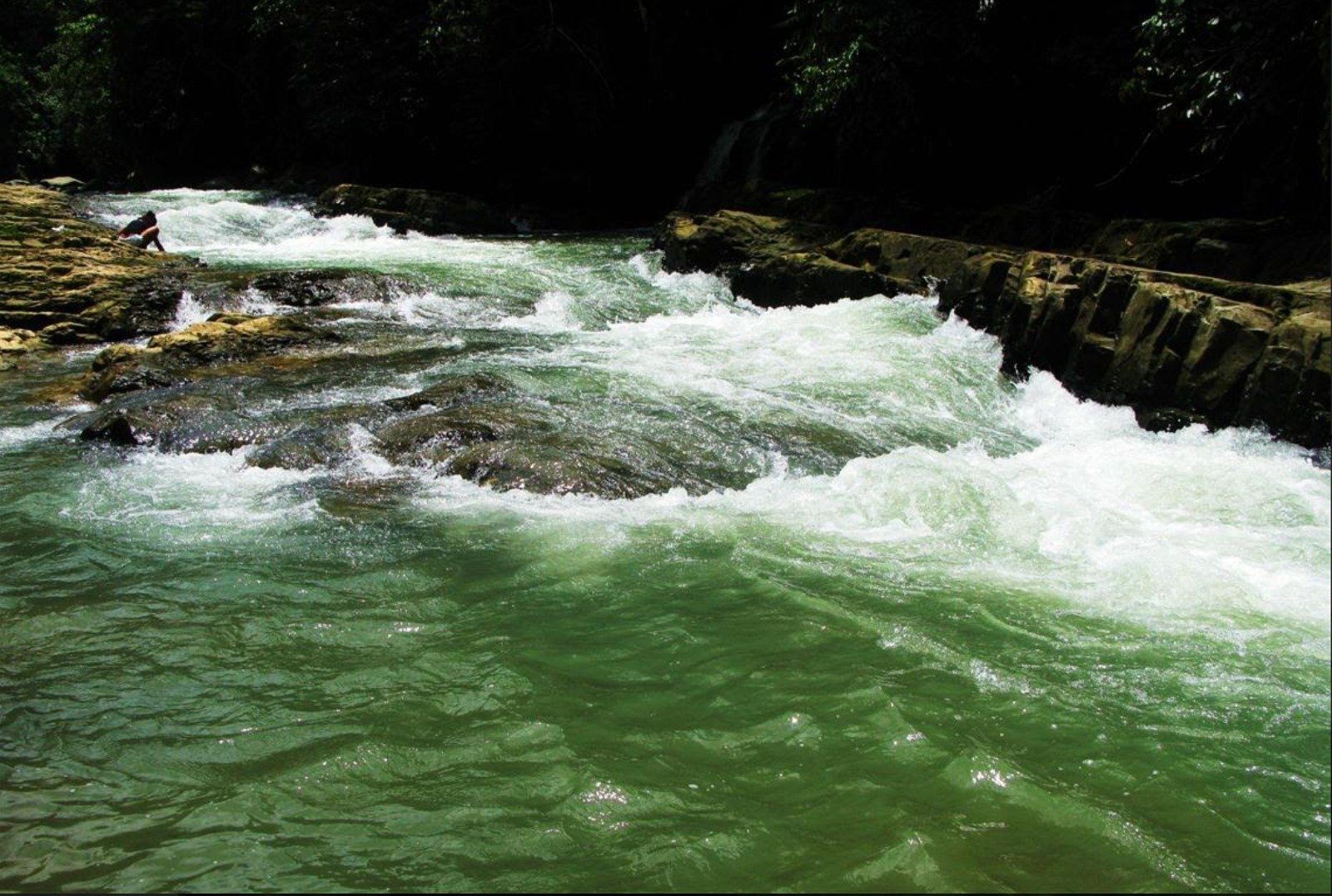 Private 5-acre Riverfront Property with Ocean & Mountain Views | San Josecito