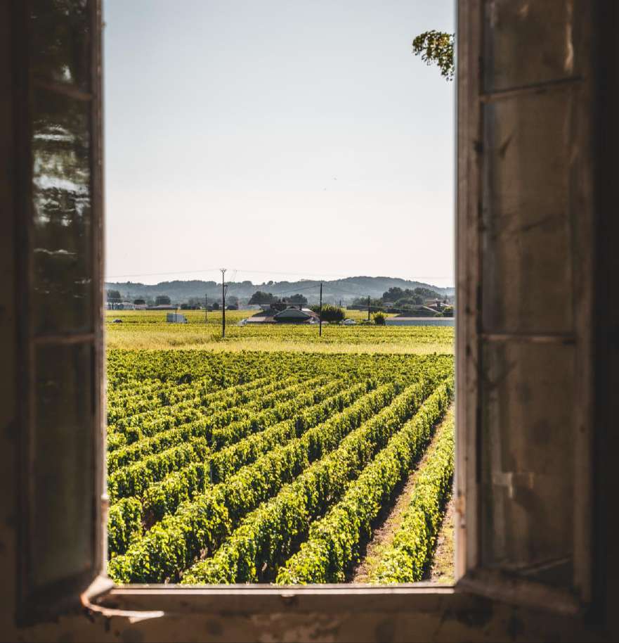 Saint-Émilion, Bordeaux, France