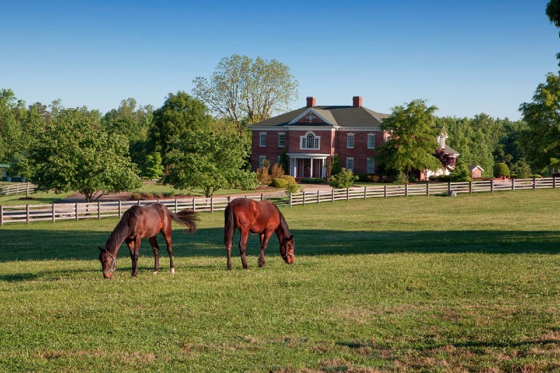 Four-Legged Checklist for Successful Horse Farm Buyers in North Carolina