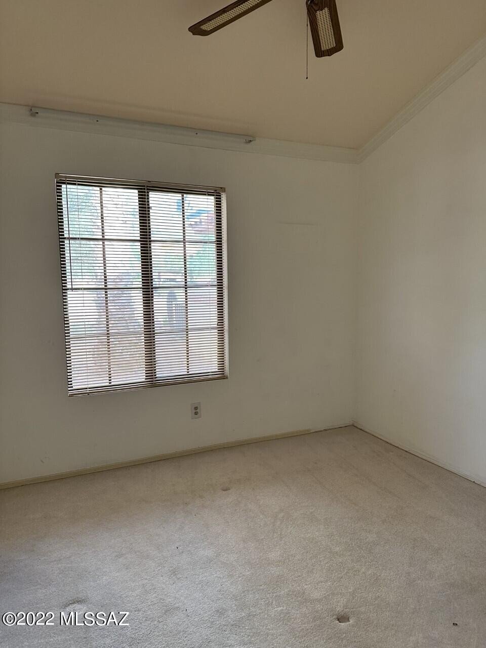 218 E Horizon Cir