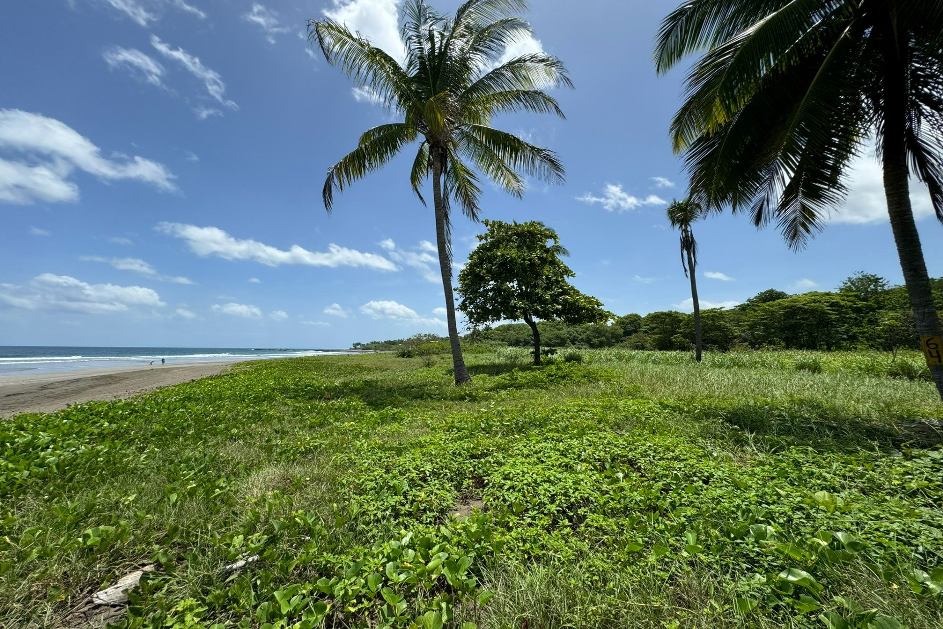 One of a kind Beach Front Parcel in Junquillal Junquillal,