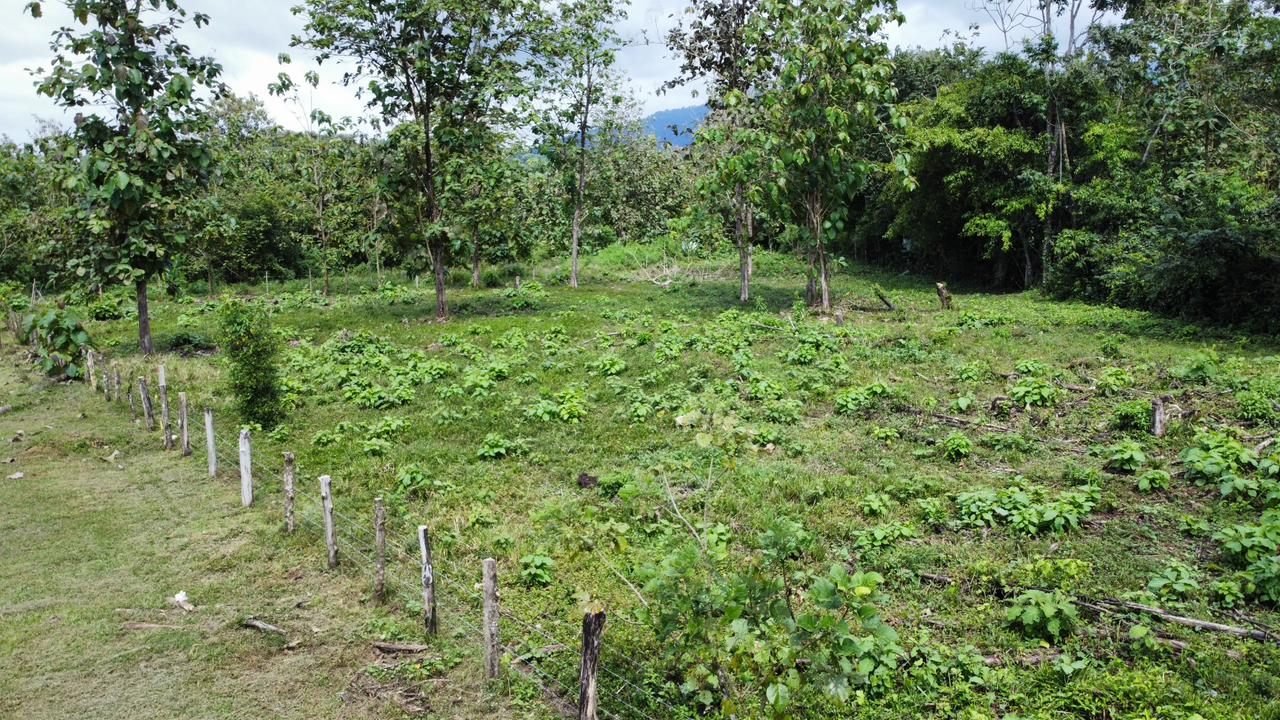 Off the grid property | Located in a privileged area, surrounded by natural beauty