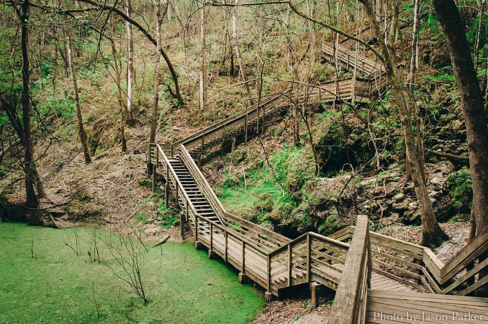 Millhopper Living: Nature, Trails, Convenience