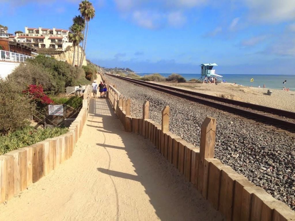 Life Along The San Clemente Beach Trail