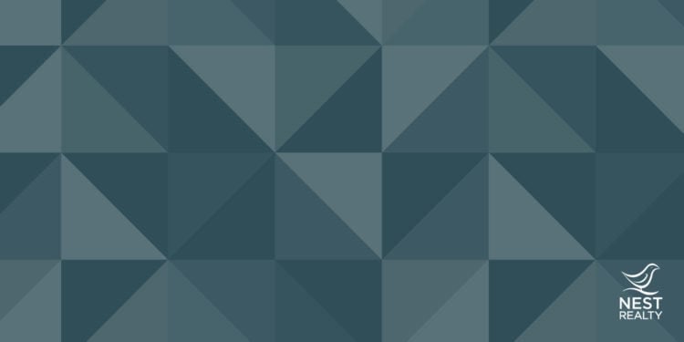 Nesty Zoom Backgrounds