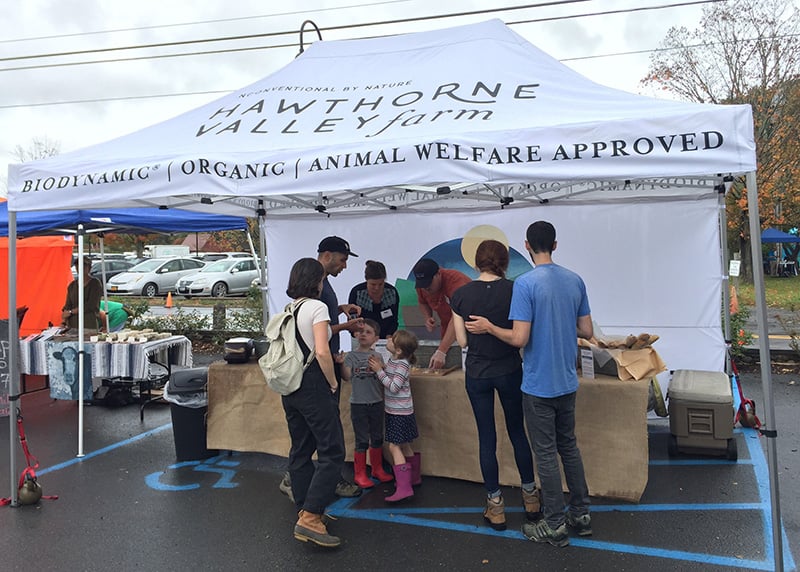 Columbia County Happenings: Hawthorne Valley Annual Fall Festival Celebration Oct. 13