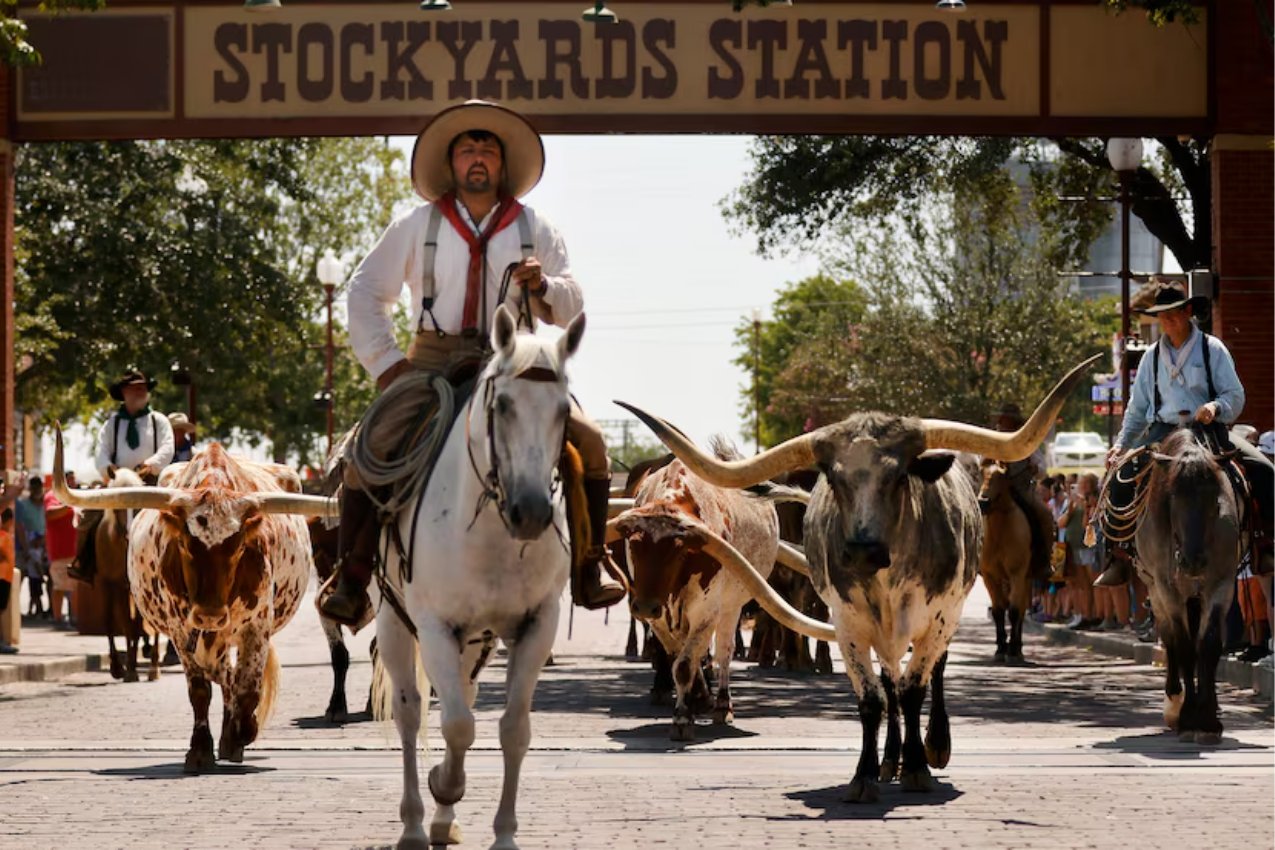 Grab your boots and cowboy hat: It’s time to celebrate National Day of the Cowboy