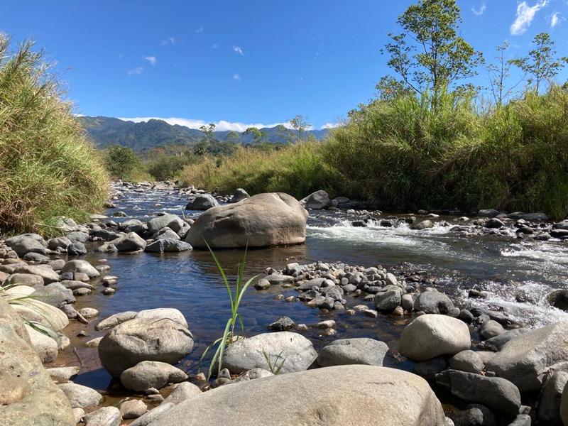 Reduced! - Newly Built Home Near Rivas with 6 Acres on the Buena Vista River