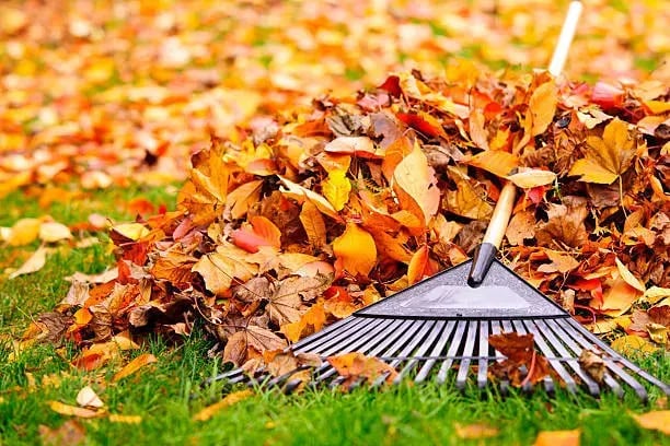 Your Fall Maintenance Checklist