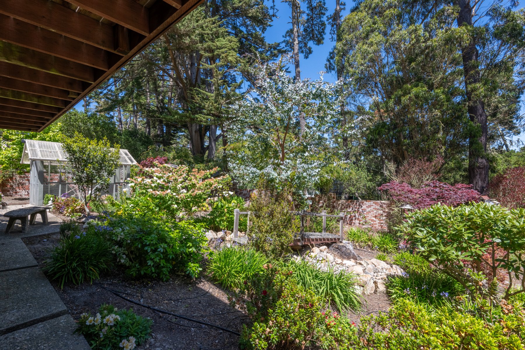 Monterey Haven