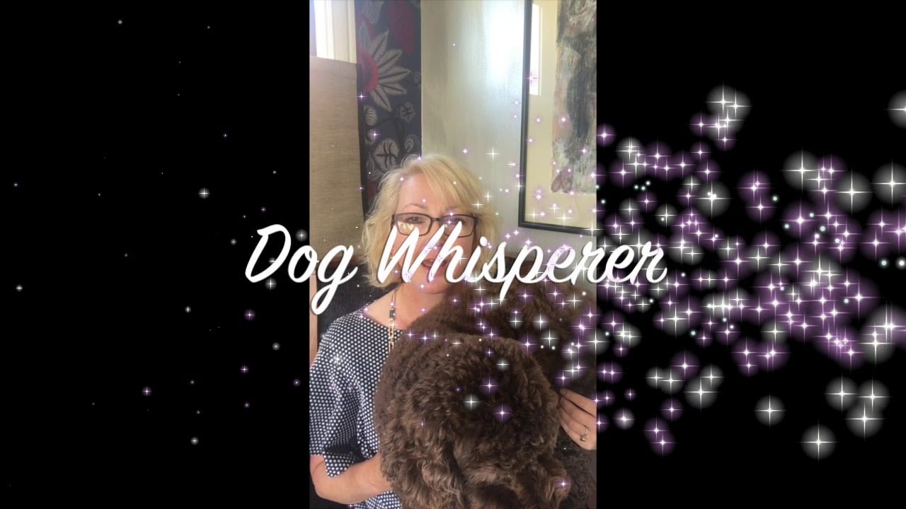 How to Stage Your Home When You Own Pets