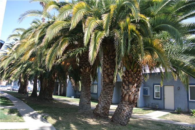 347 N Eucalyptus Avenue Unit#24, Rialto, CA 92376