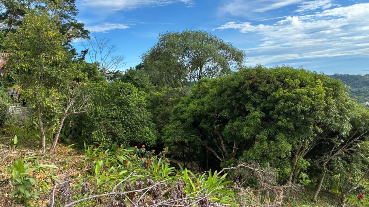 Spectacular Ocean View Lot in Ojochal Phase 9