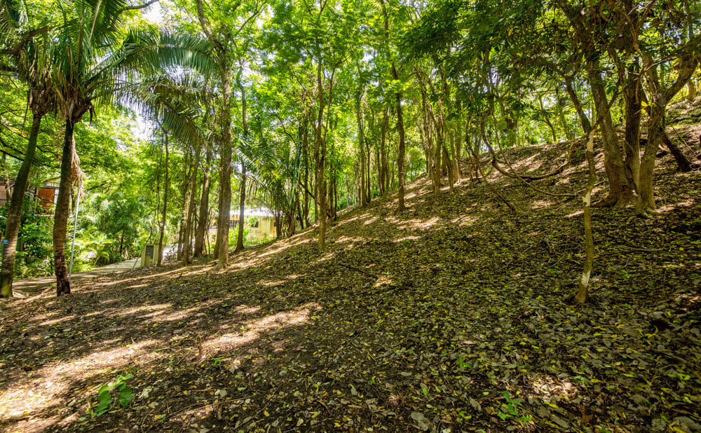 Secluded Surf Walk Building Lot, Nosara, Guanacaste