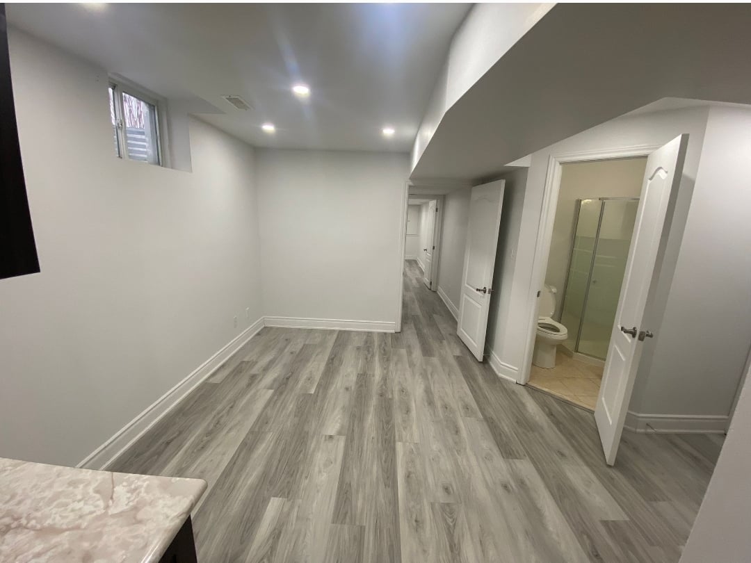 101 Luisa Street Basement