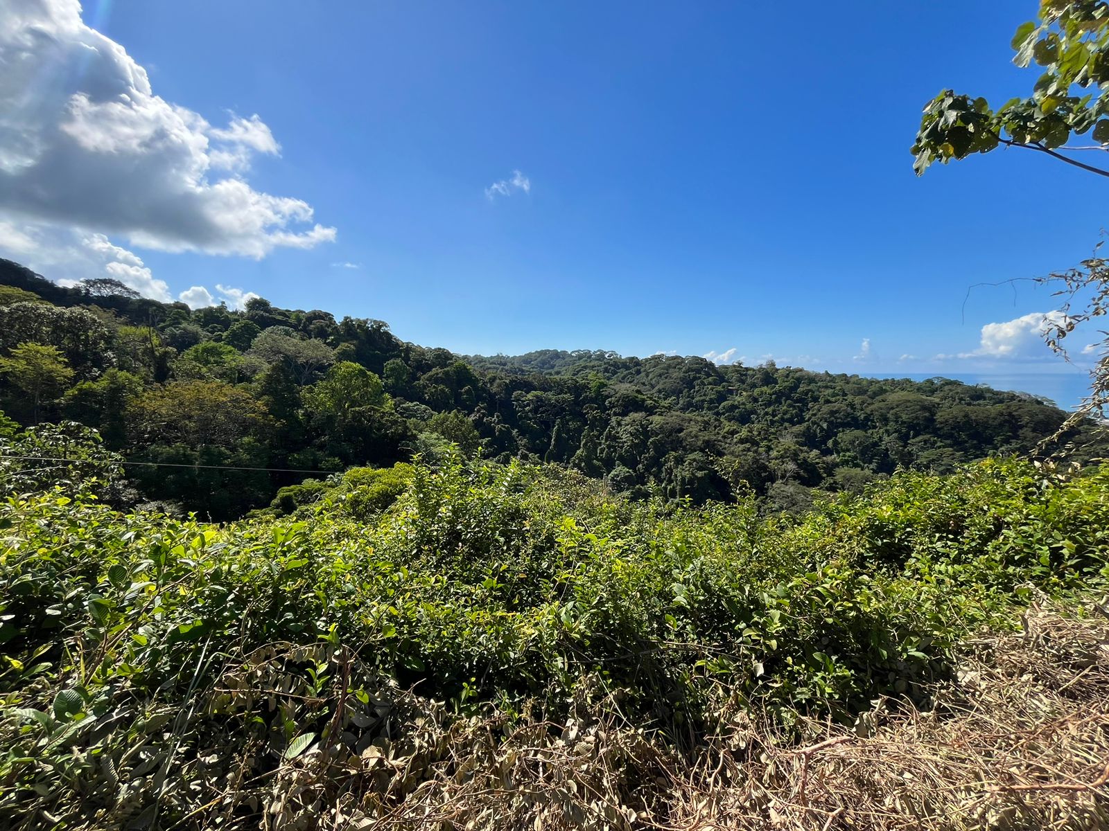 Cinematic Ocean&Mountain View Property In Vista Dominical Estate, Minutes From The Beach!