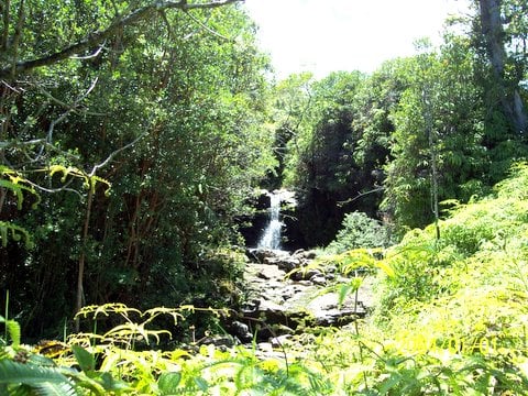 HAMAKUA COAST BIG ISLAND