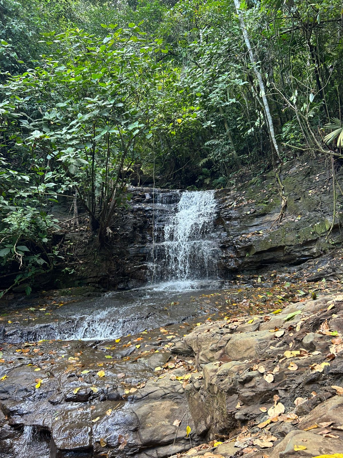 10-Acre Waterfall Farm with Amazing Valley and River View in San Isidro.