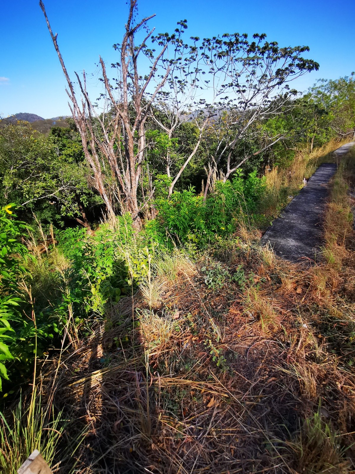 Valle Escondido