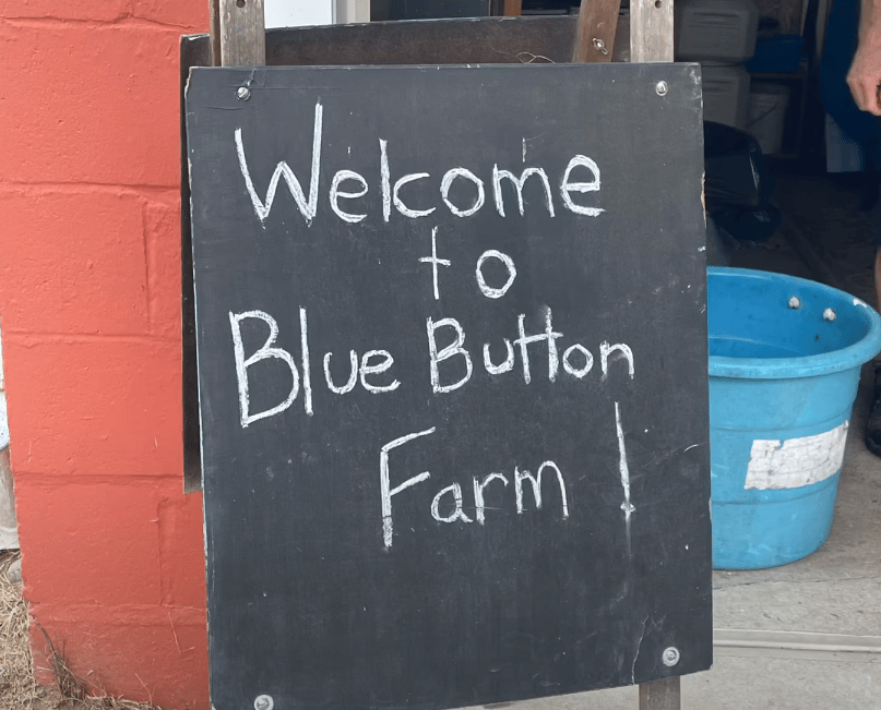 Blue Button Farm Easton Connecticut