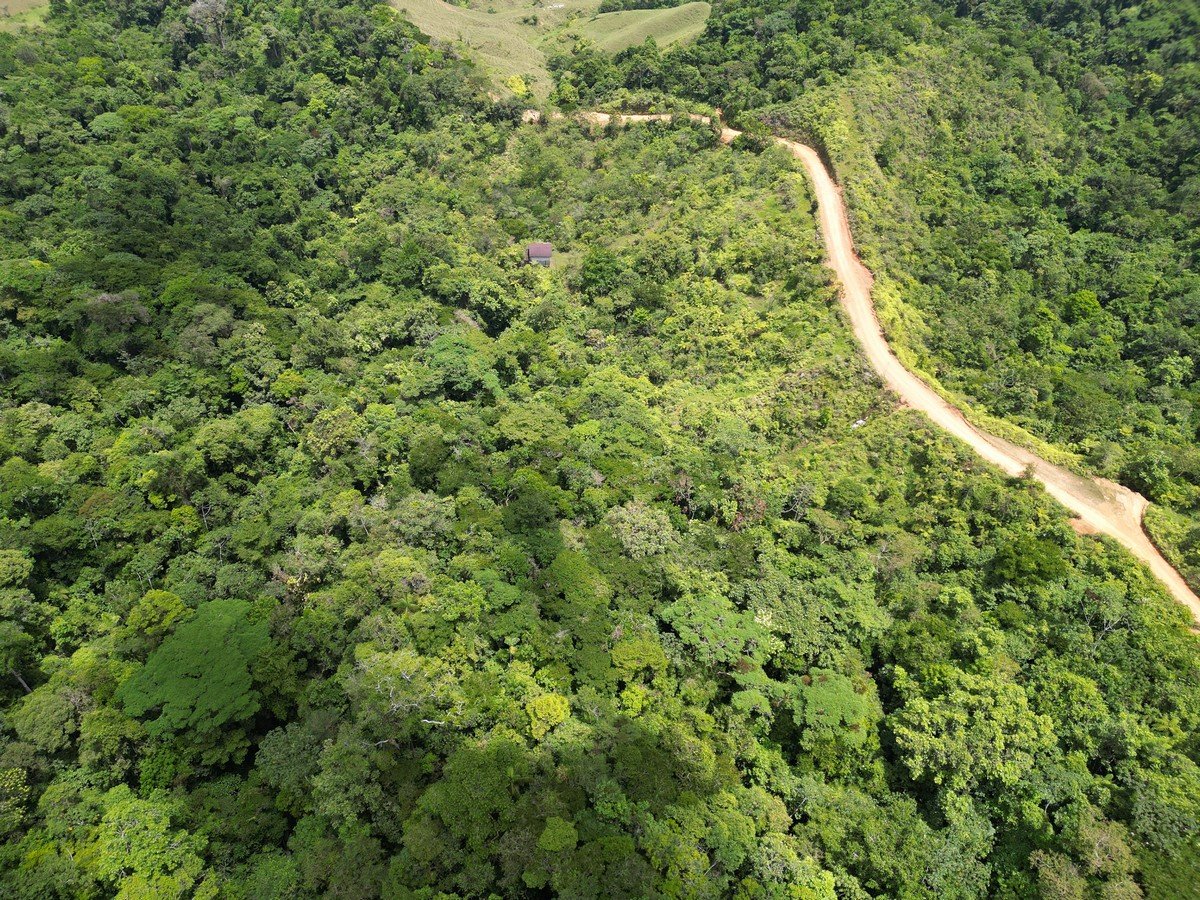 32 ACRES – Mountain Land With Spring, Jungle & Usable Space!!!!