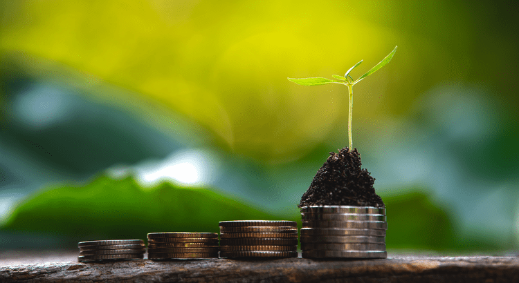 A seedling growing from soil atop rising stacks of coins.