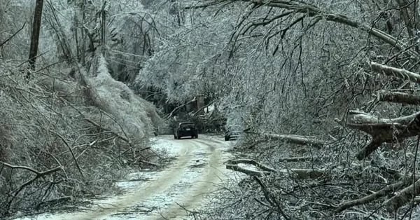 February 2026 Newsletter