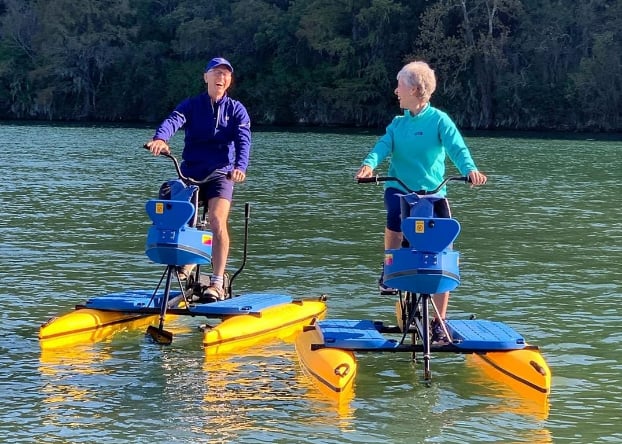 Guest houses with green lawn