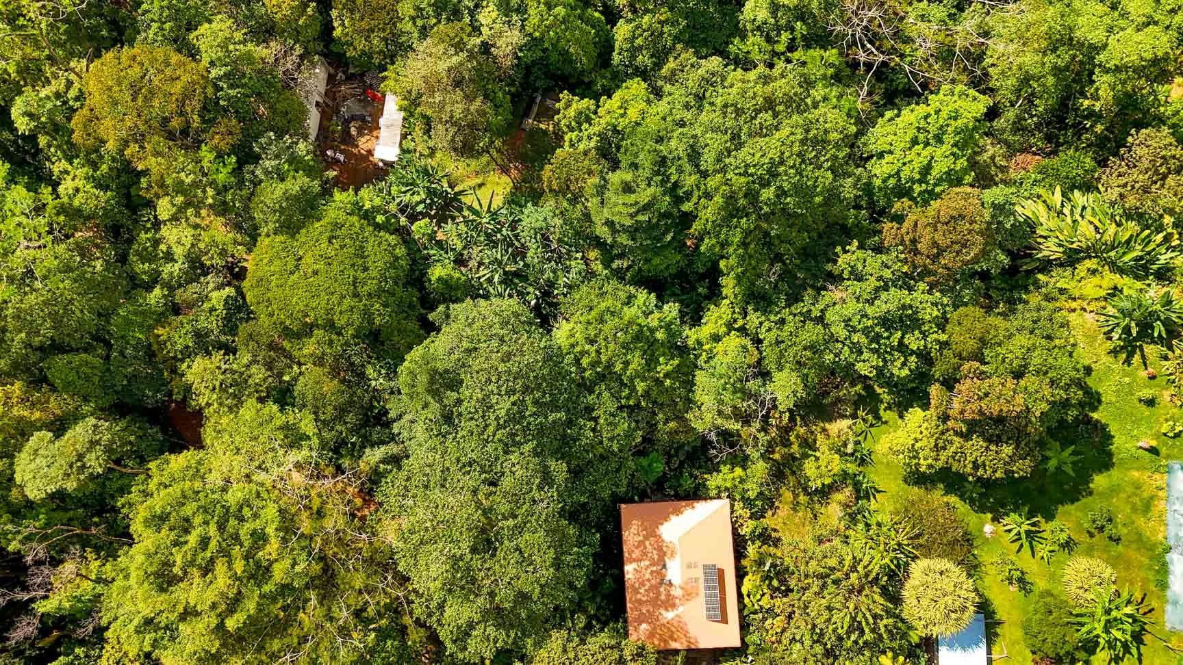 3 Bedroom Rainforest Home in Ojochal With River & Waterfall | 3.5 Acres Private