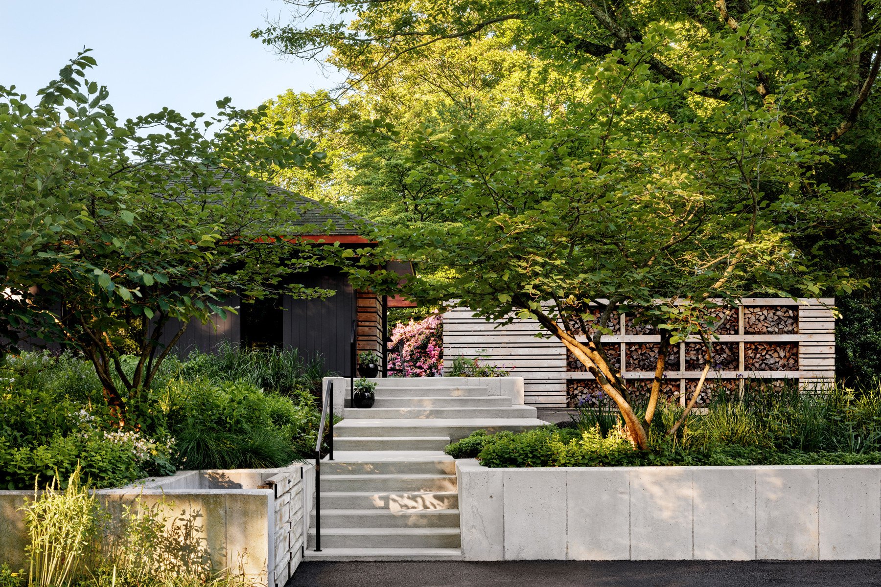 Modern home entrance with concrete steps, leafy trees, and a wood storage structure.