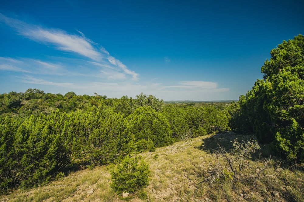 Cherry Springs Ranch