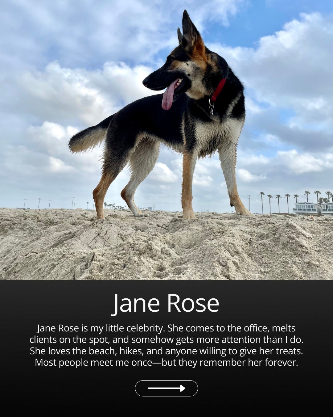 Built with Gratitude: 