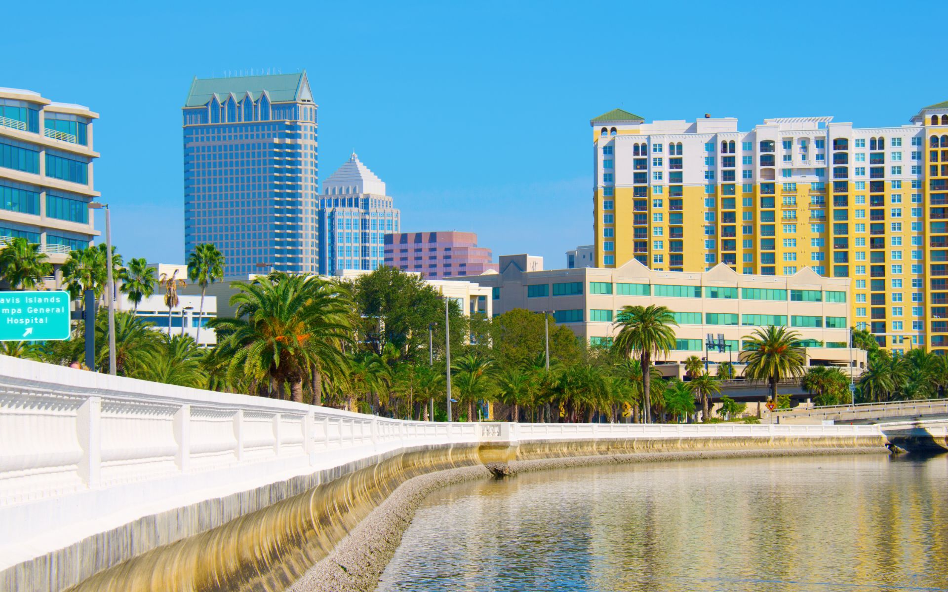 South Tampa Living