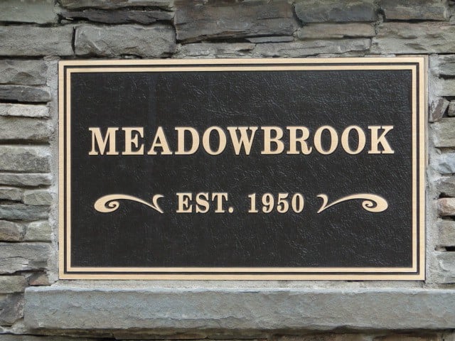 Sandy Springs Top Neighborhood Meadowbrook