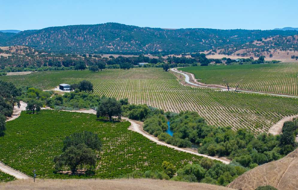 Joseph Vineyard | 76987 Nacimiento Lake Drive