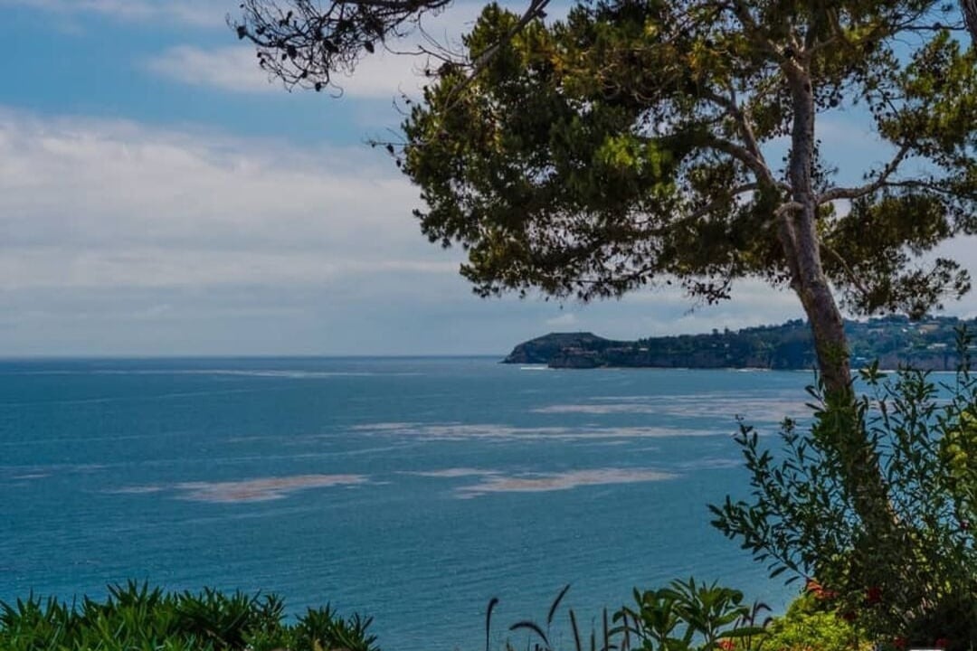 Aurex Reserve, Pacific Coast Hwy, 90265