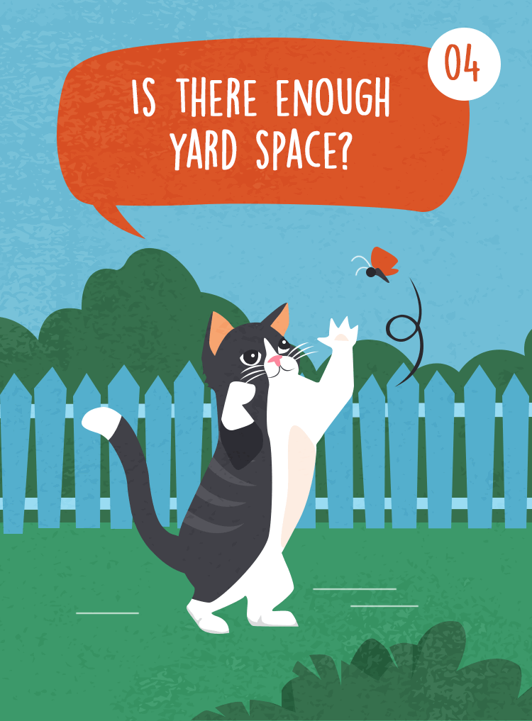 Illustrated cat playing in a fenced yard beneath the question, “Is there enough yard space?”
