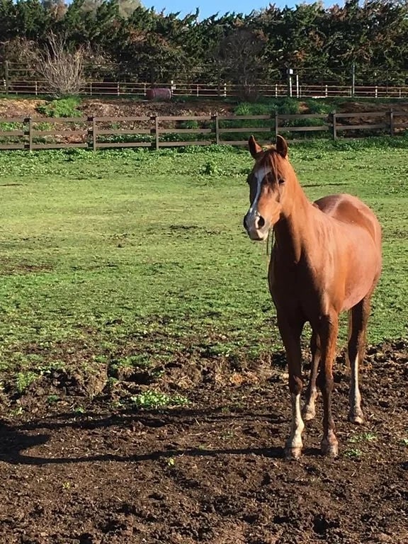 Whirlawind Ranch