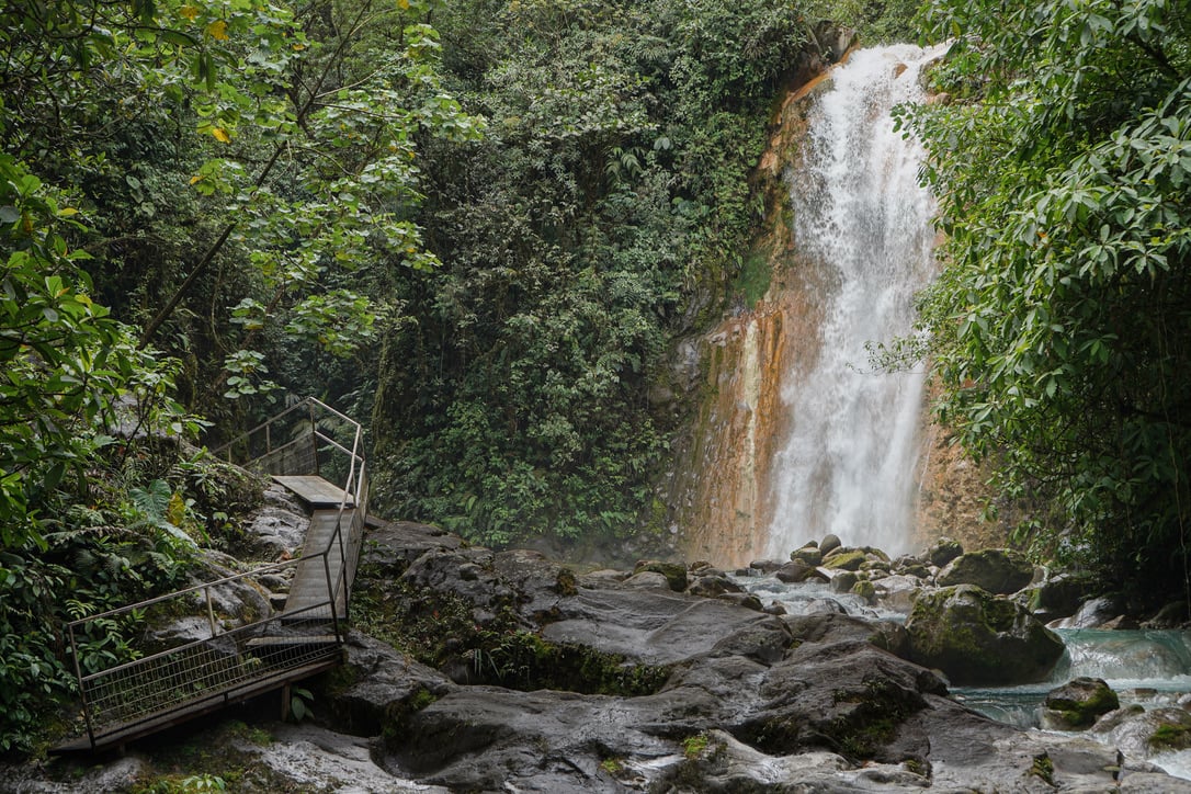 La Monarca