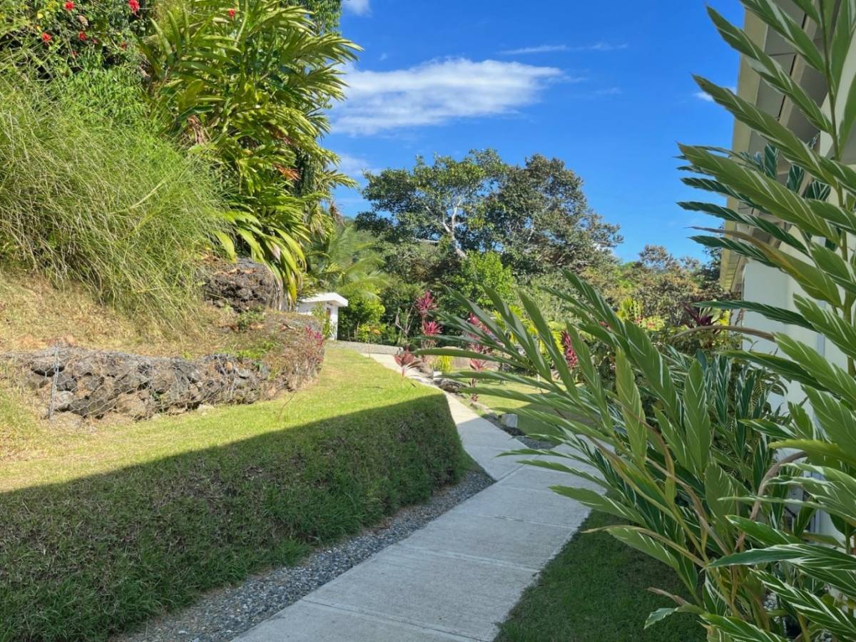 Terra Lodge - Income producing property with two apartments, swimming pool and 1 bedroom home.