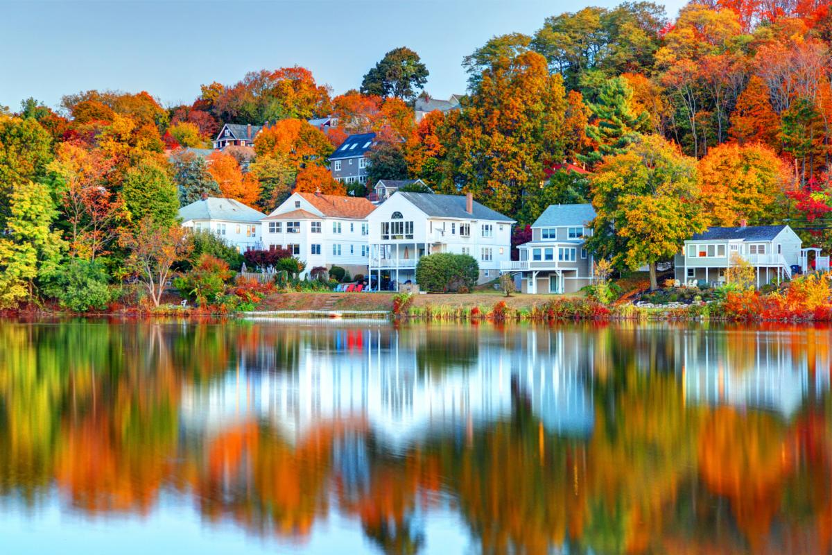 Tom Grisak's Real Estate Newsletter