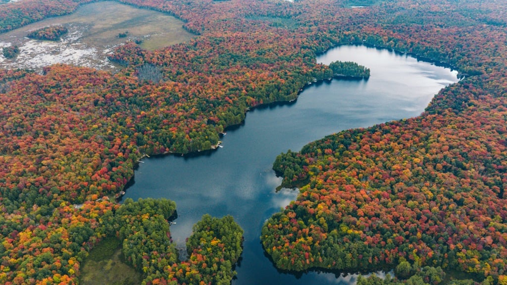Camel Lake