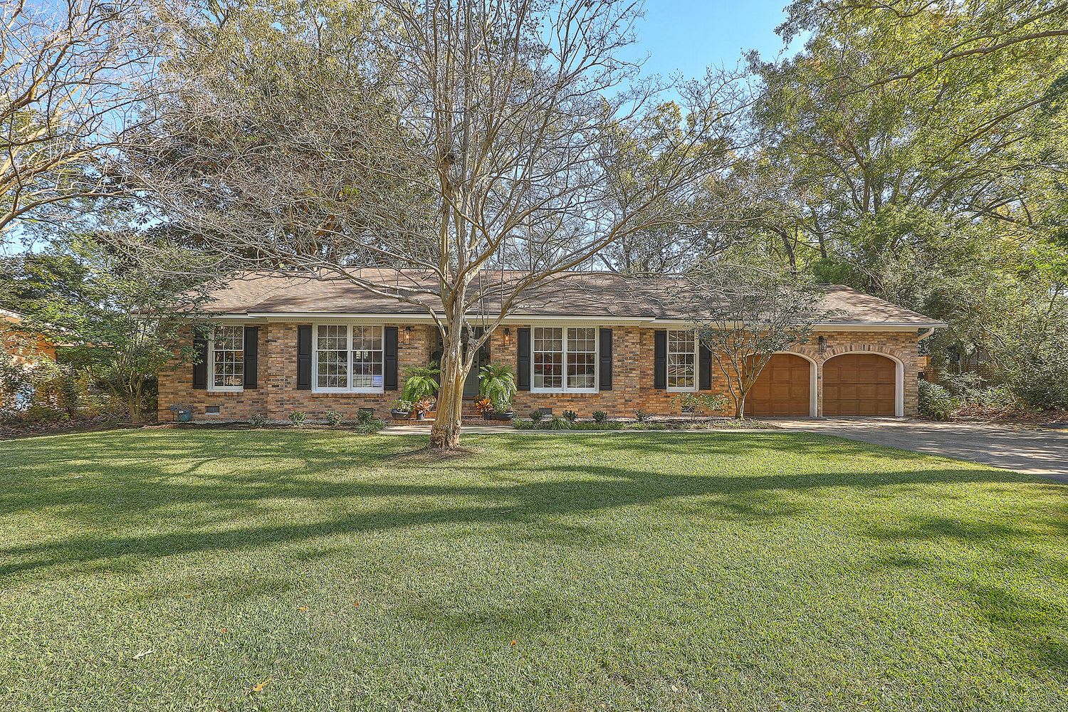 1549 S Pinebark Ln