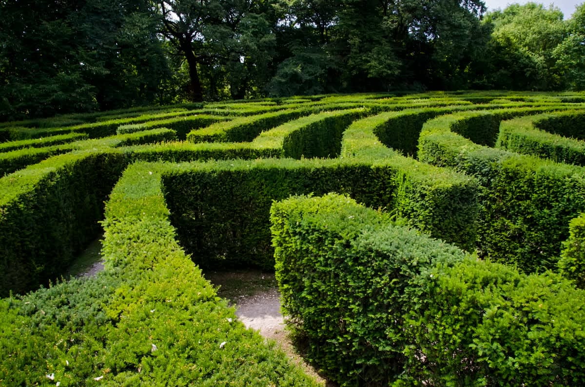gardens