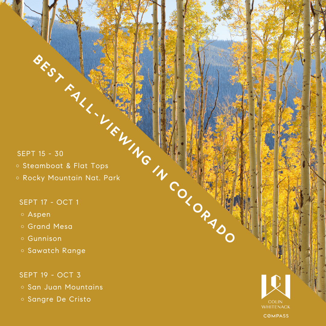 Best Fall-Viewing In Colorado