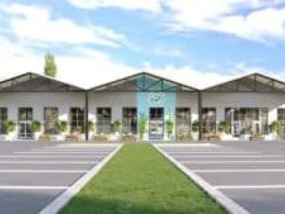 Social Pickleball Fun