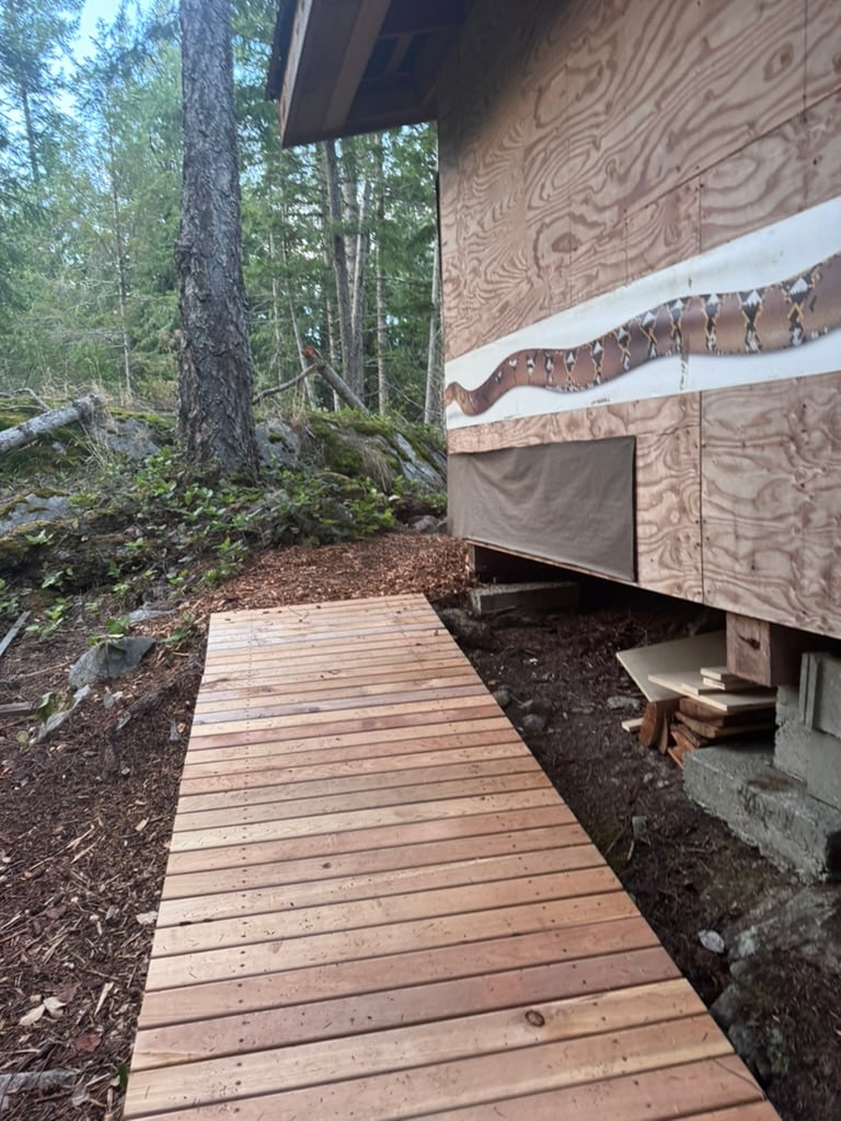 Recap of Summer 2025 Series at Ellingsen Woods