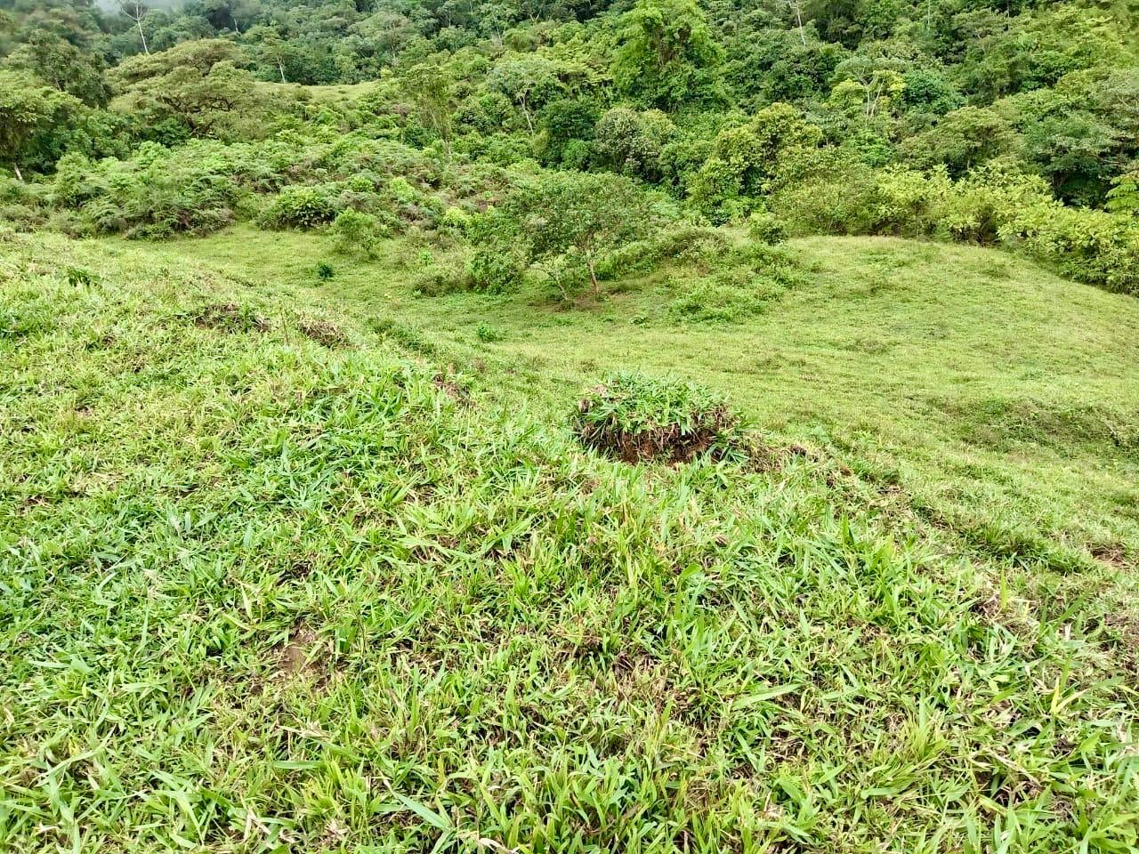 Los Cerritos Farm – 6.4 Acres of Ocean & Mountain Serenity