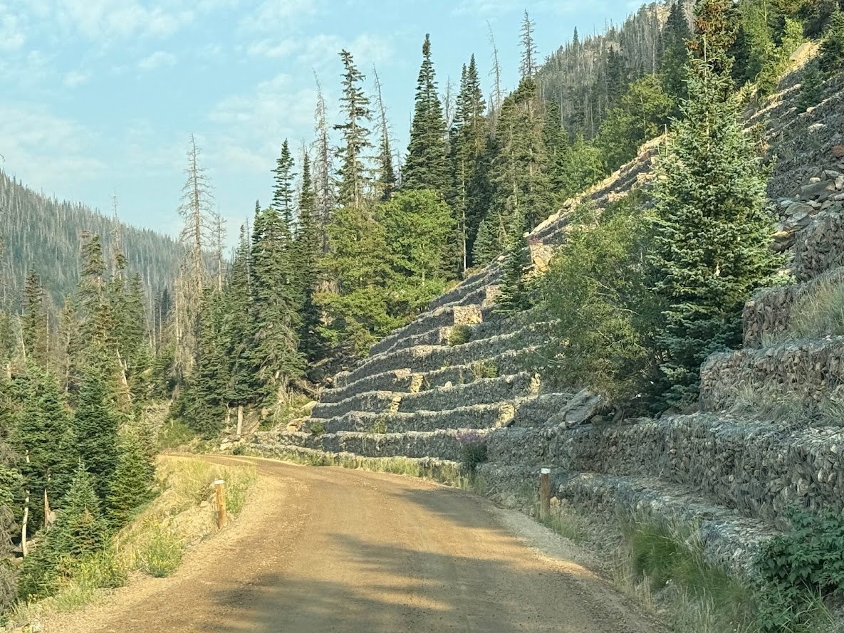 Driving Into the Wild: A Sensory Journey Along Old Fall River Road