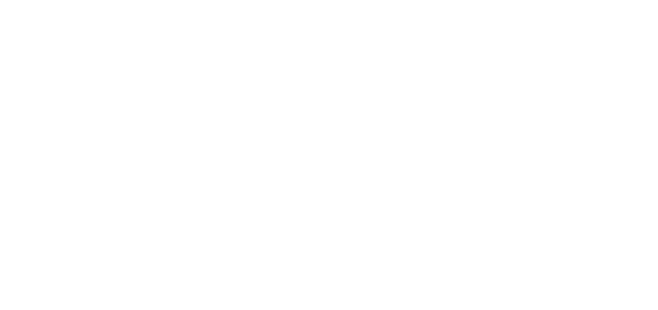 Light Logo